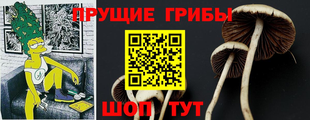где можно купить наркотик  Вход с VPN  Лабинск  Псилоцибиновые грибы прущие грибы 