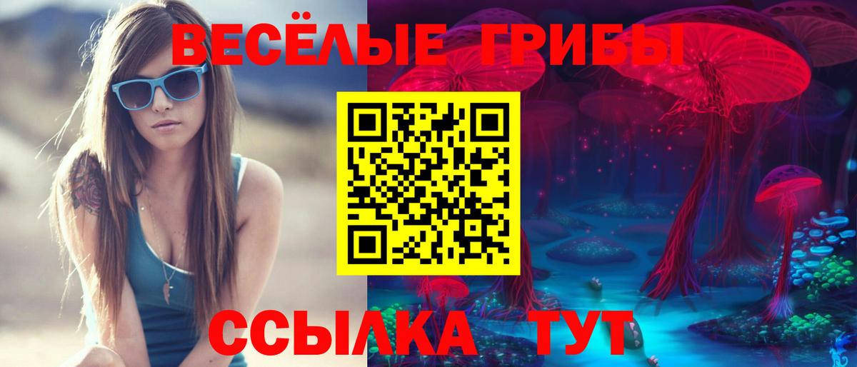 Псилоцибиновые грибы мицелий Лабинск